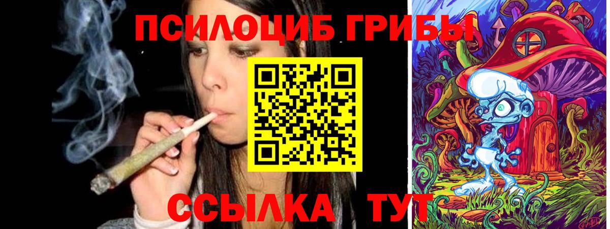 Галлюциногенные грибы MAGIC MUSHROOMS Петрозаводск