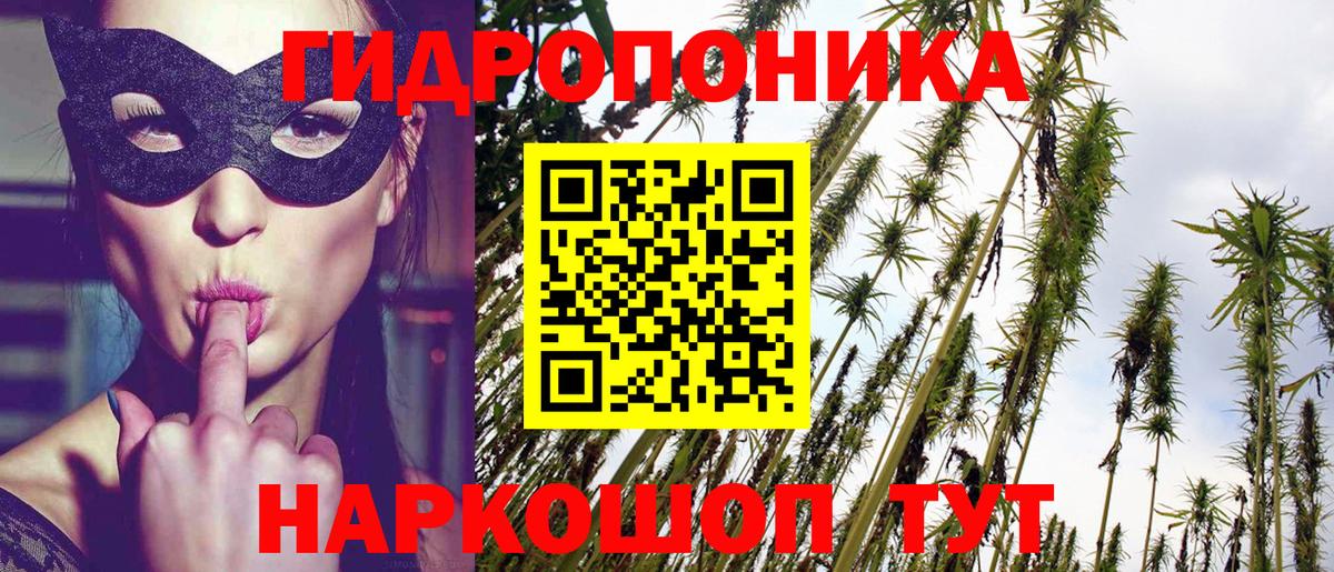 МАРИХУАНА Ganja  МАРИХУАНА планчик  Вход с VPN  Петрозаводск 
